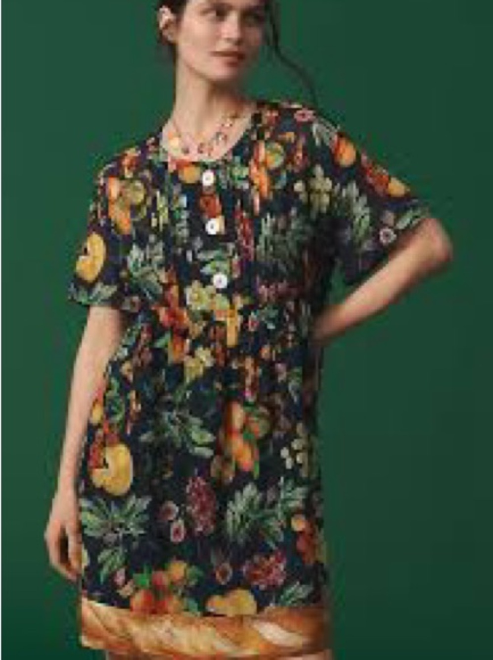 Anthropologie Rachel Antonoff Floral Fruit-Print Navy Short Sleeve Shift Dress